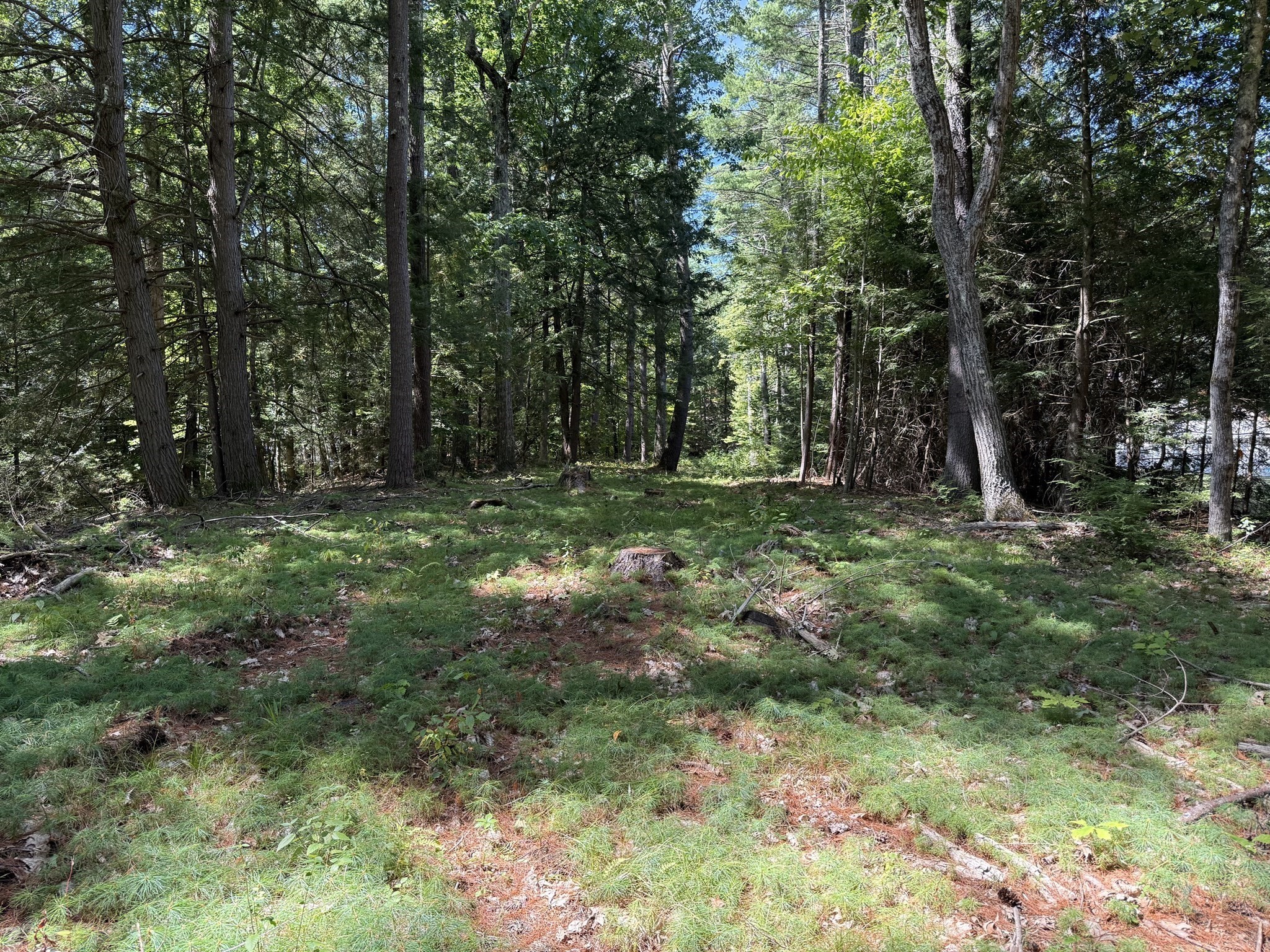 0 Old Keene Road Athol, MA 01331 - Photo 7 of 21 Gallery Image 7