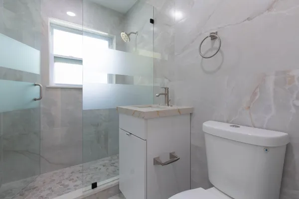 a view of a yard with plants and large trees