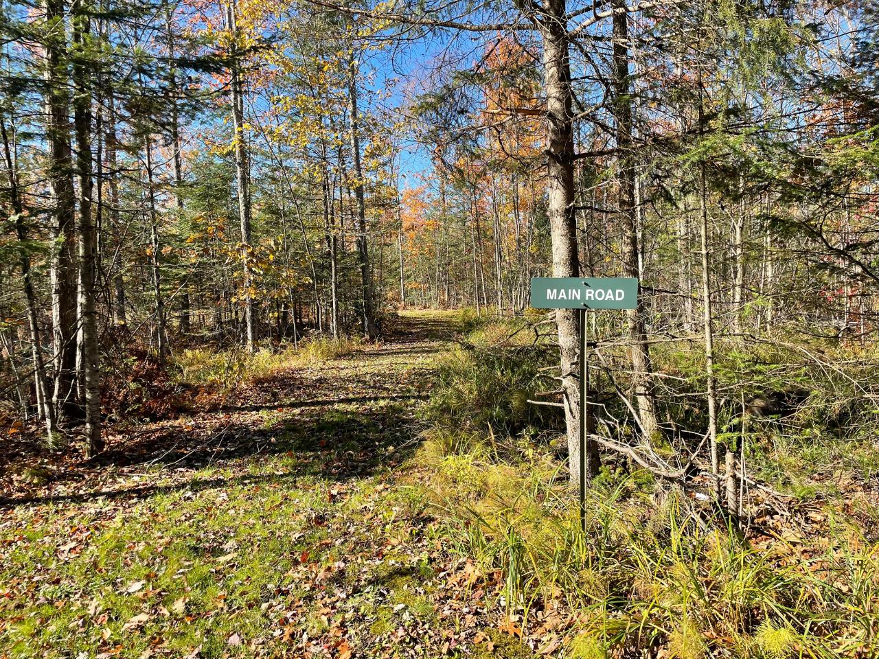N5180 Rangeline Road Gleason, WI 54435 - Photo 13 of 30 Gallery Image 13