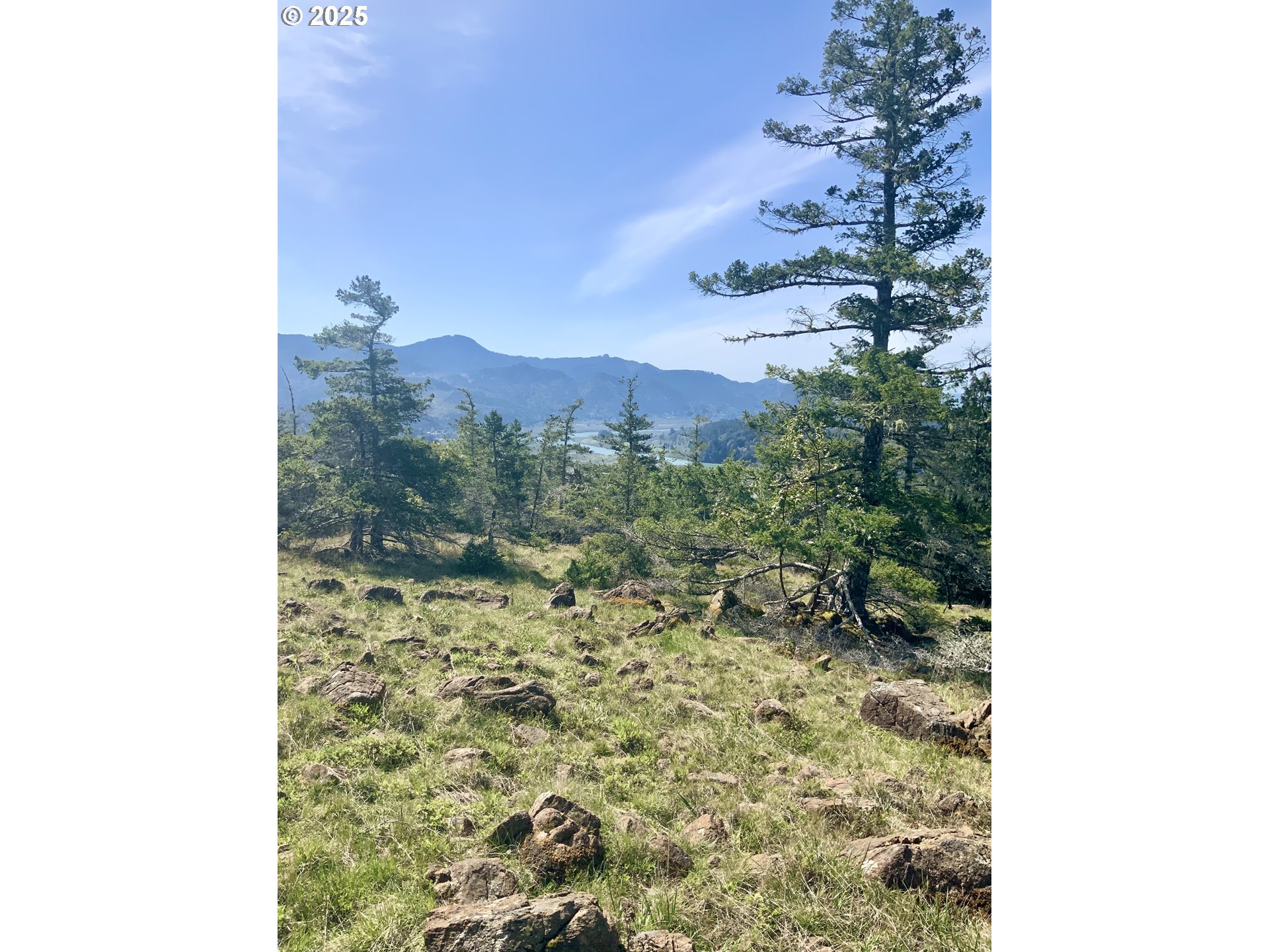 95645 Spirit Ridge Drive Gold Beach, OR 97444 - Photo 11 of 27 a view of a yard with a tree