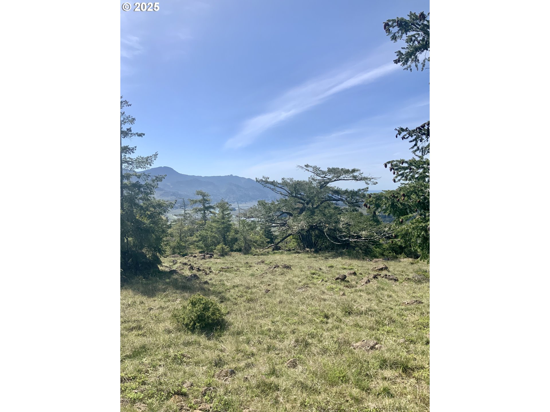 95645 Spirit Ridge Drive Gold Beach, OR 97444 - Photo 13 of 27 a view of a yard