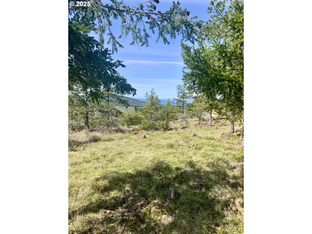 a view of a dry yard