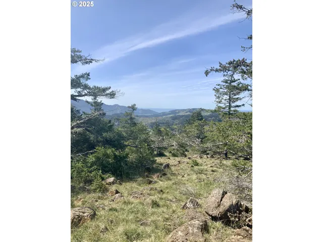 a view of a yard with trees in the background