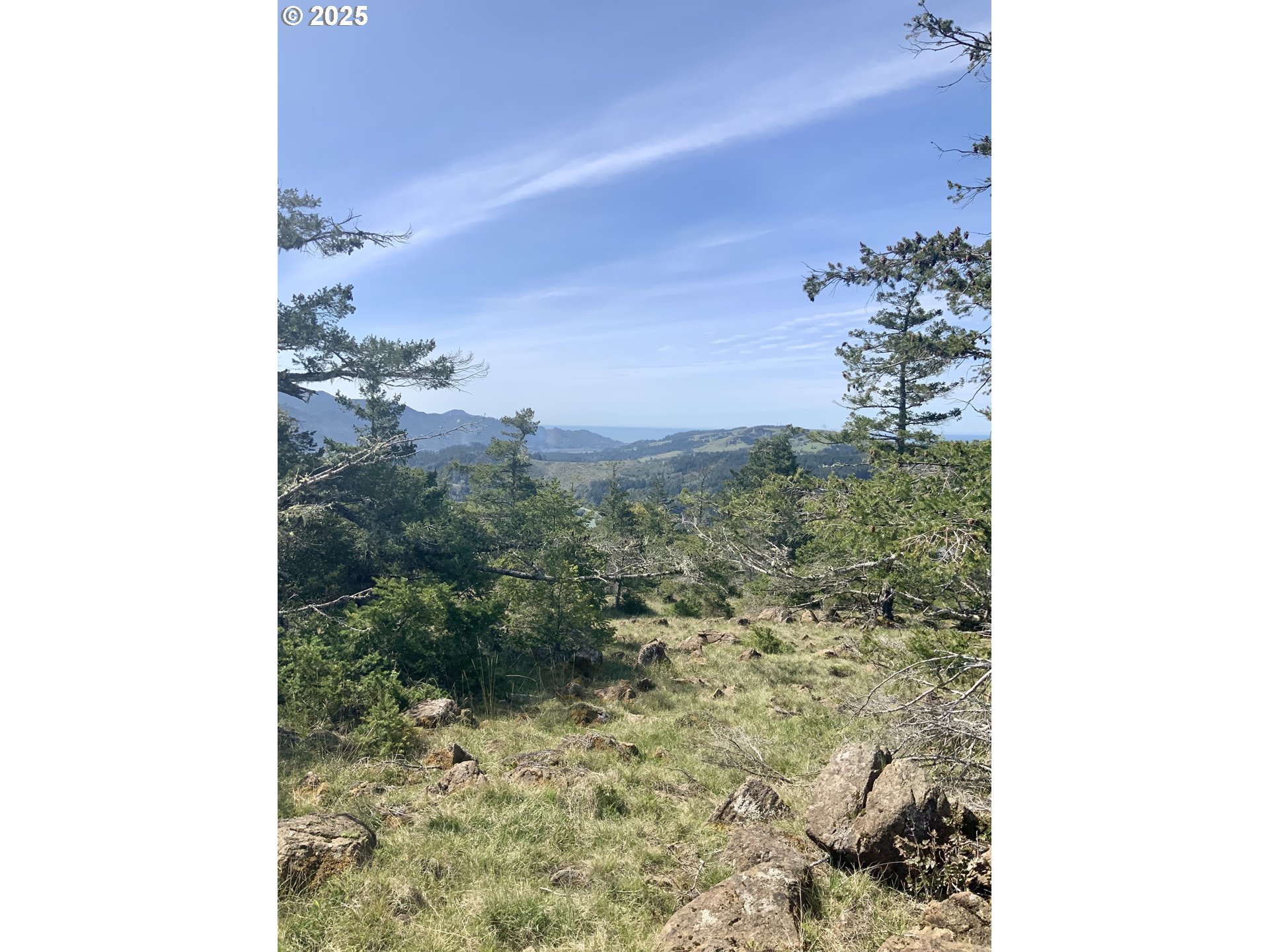 95645 Spirit Ridge Drive Gold Beach, OR 97444 - Photo 15 of 27 a view of a dry yard