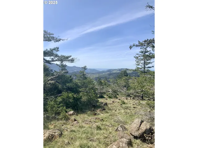 a view of a yard with trees in front of it