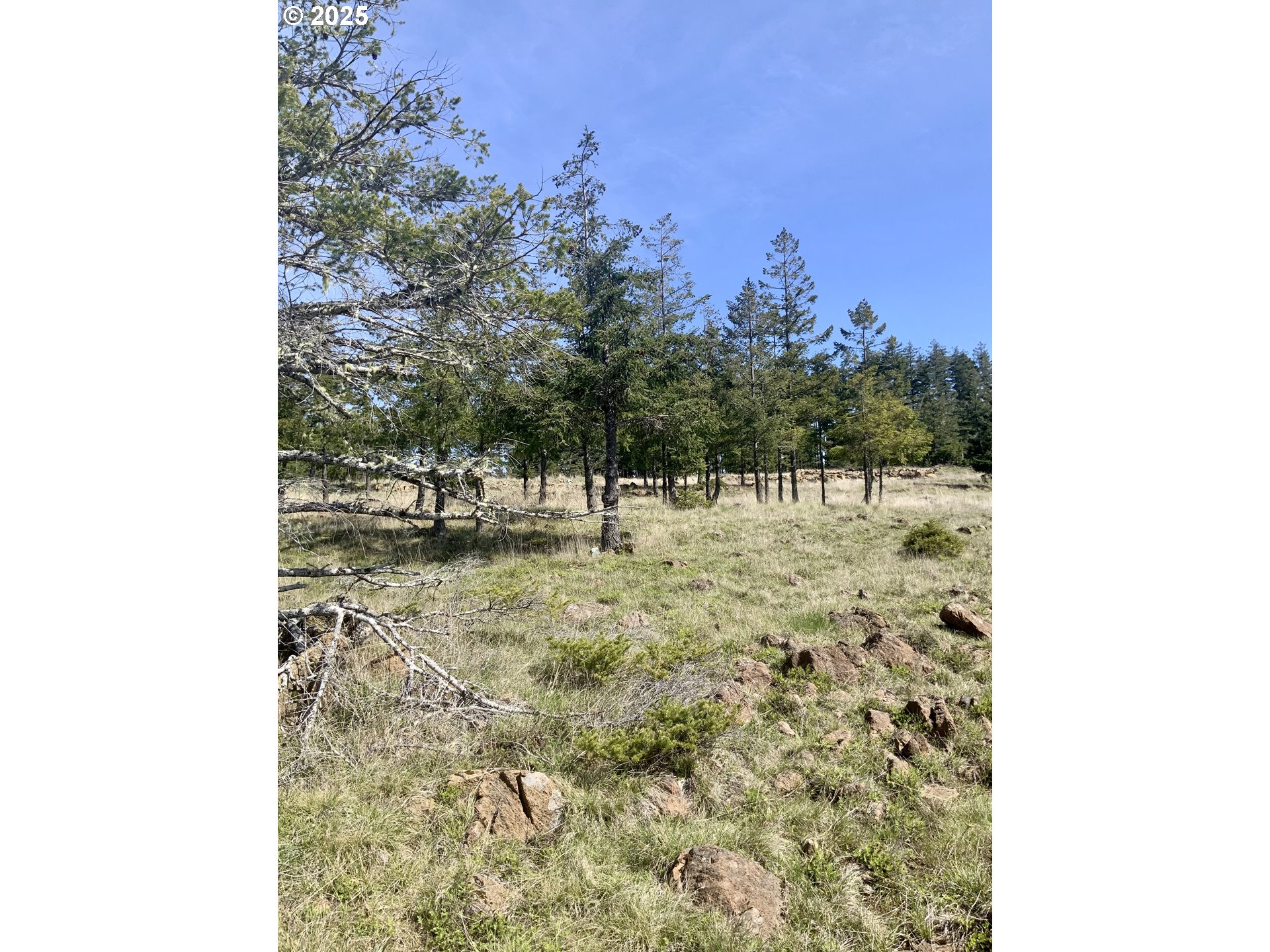 95645 Spirit Ridge Drive Gold Beach, OR 97444 - Photo 17 of 27 a view of a yard with trees in the background