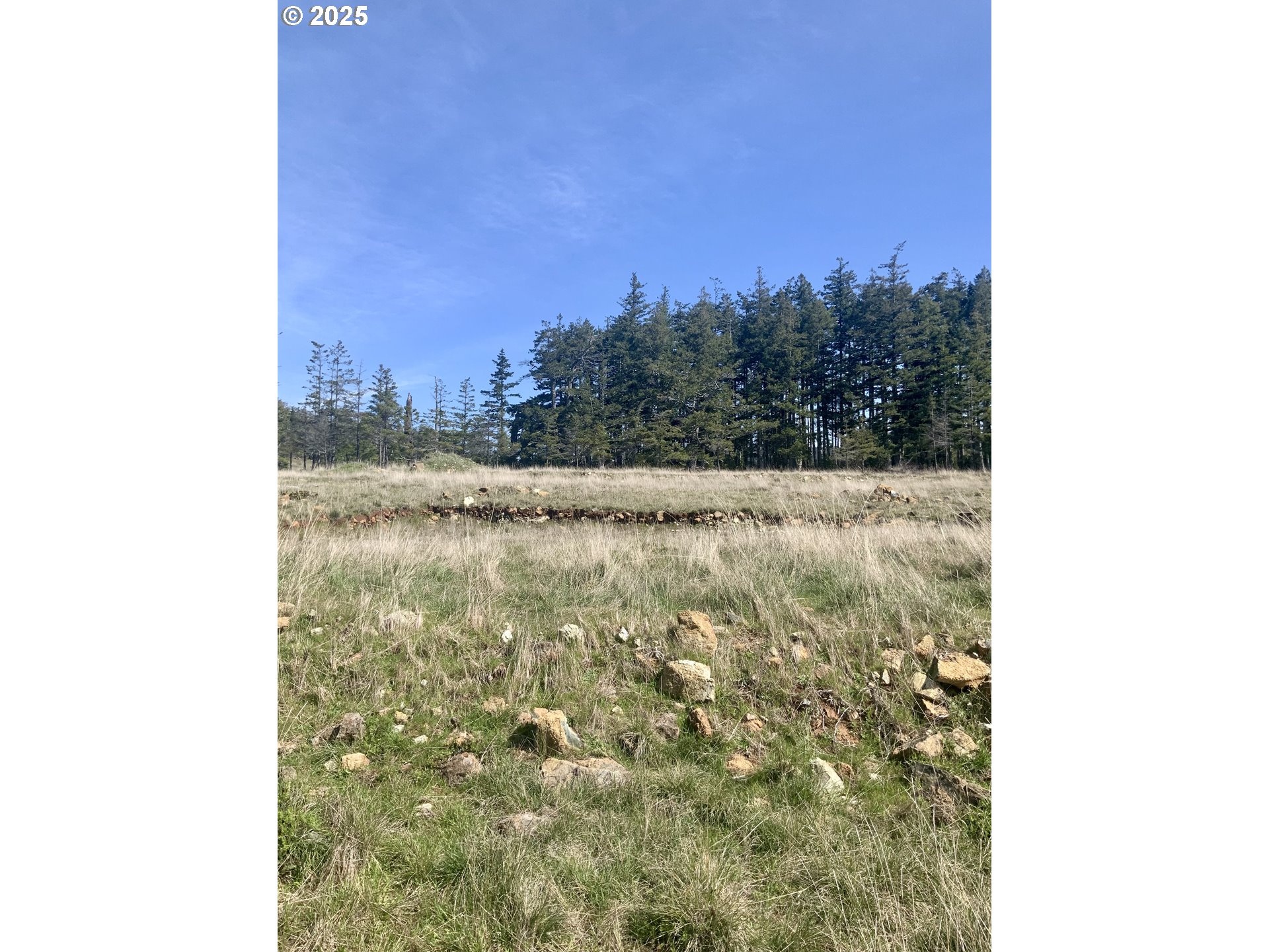 95645 Spirit Ridge Drive Gold Beach, OR 97444 - Photo 20 of 27 a view of a lake view