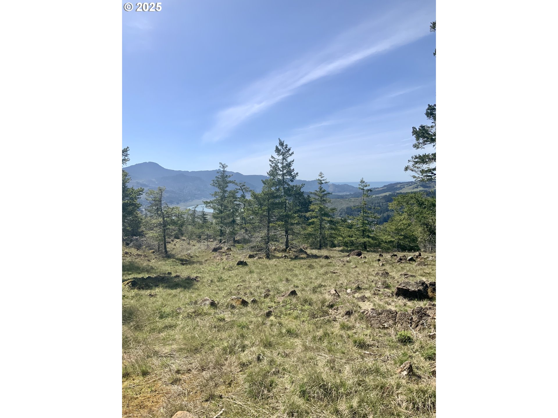 95645 Spirit Ridge Drive Gold Beach, OR 97444 - Photo 2 of 27