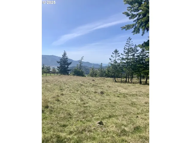 a view of yard from a balcony