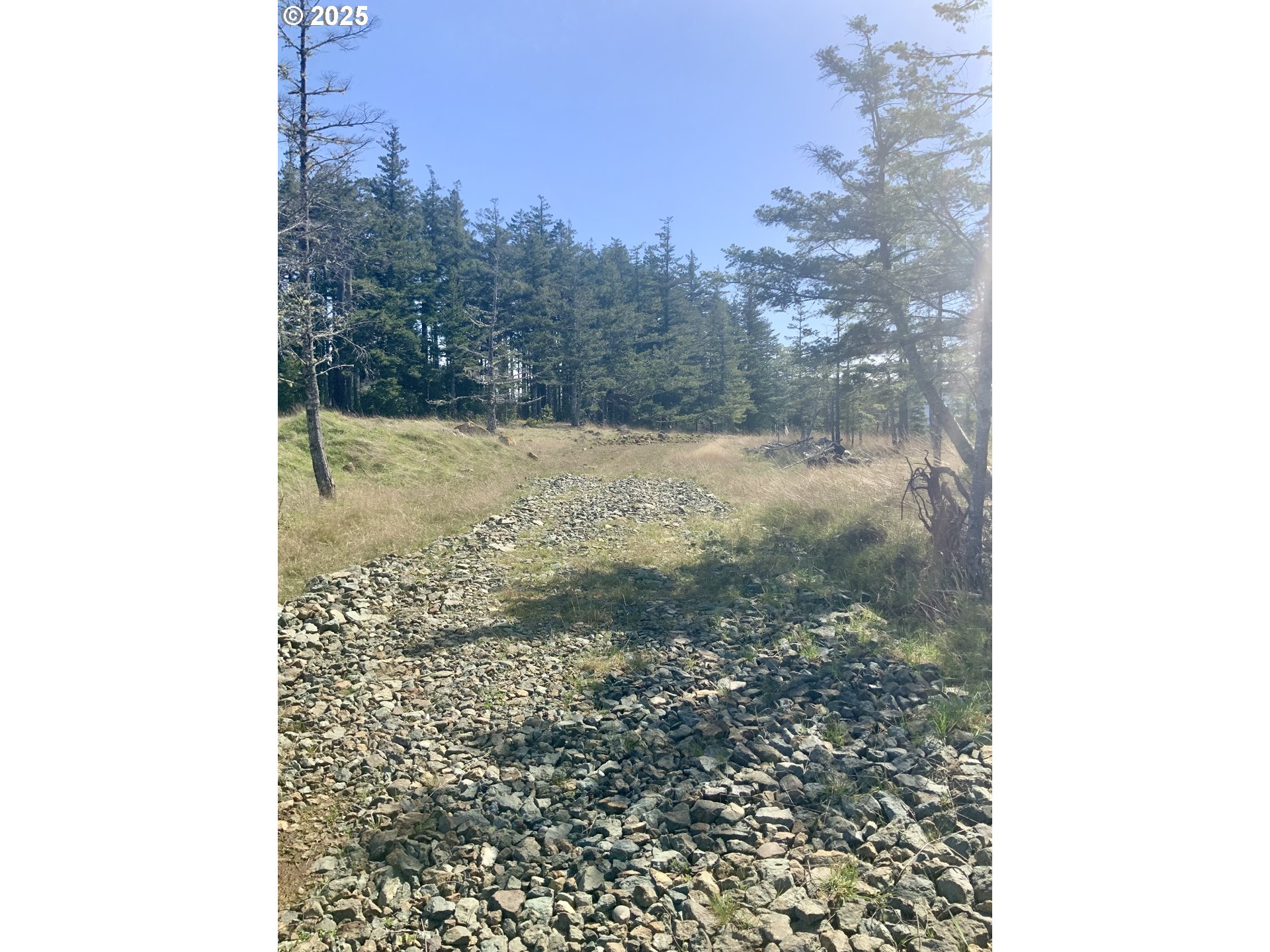 95645 Spirit Ridge Drive Gold Beach, OR 97444 - Photo 24 of 27 a view of a yard