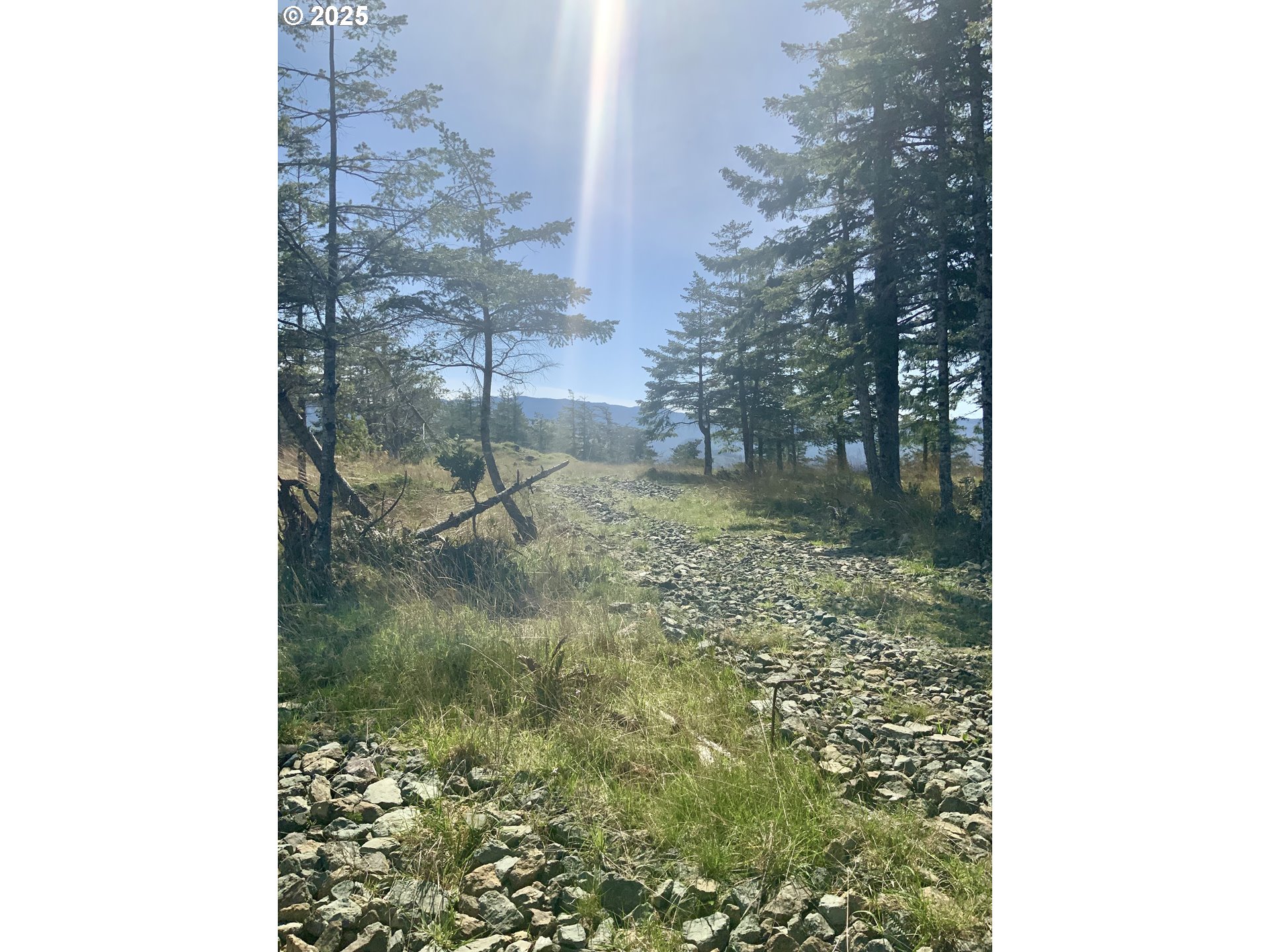 95645 Spirit Ridge Drive Gold Beach, OR 97444 - Photo 25 of 27 a view of yard from a balcony
