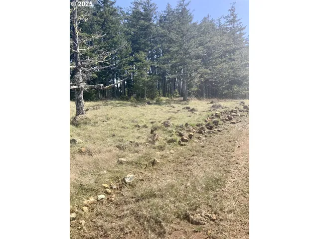 $349,999 | 95645 Spirit Ridge Drive, Gold Beach, OR 97444