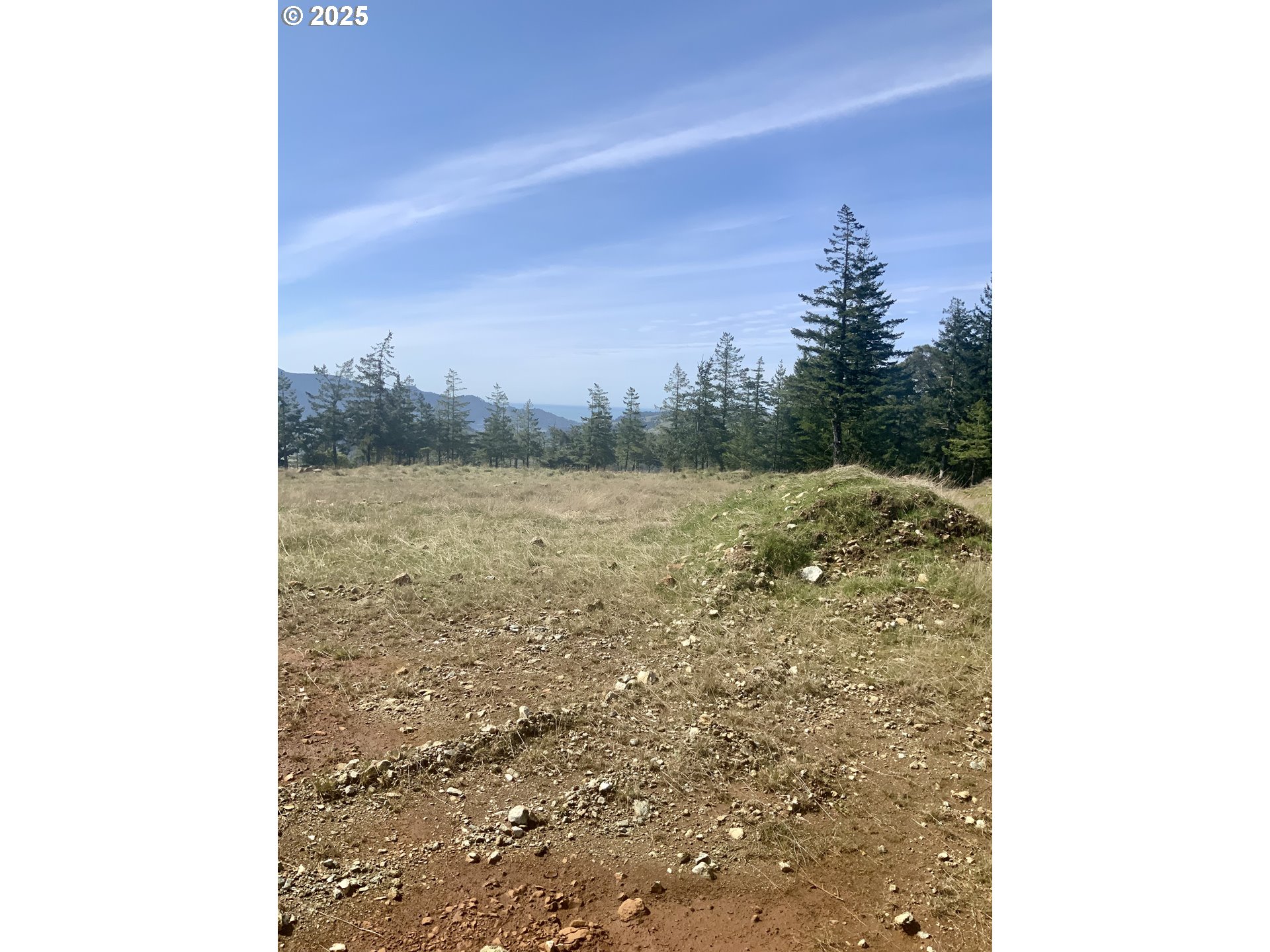 95645 Spirit Ridge Drive Gold Beach, OR 97444 - Photo 27 of 27 a view of a pathway