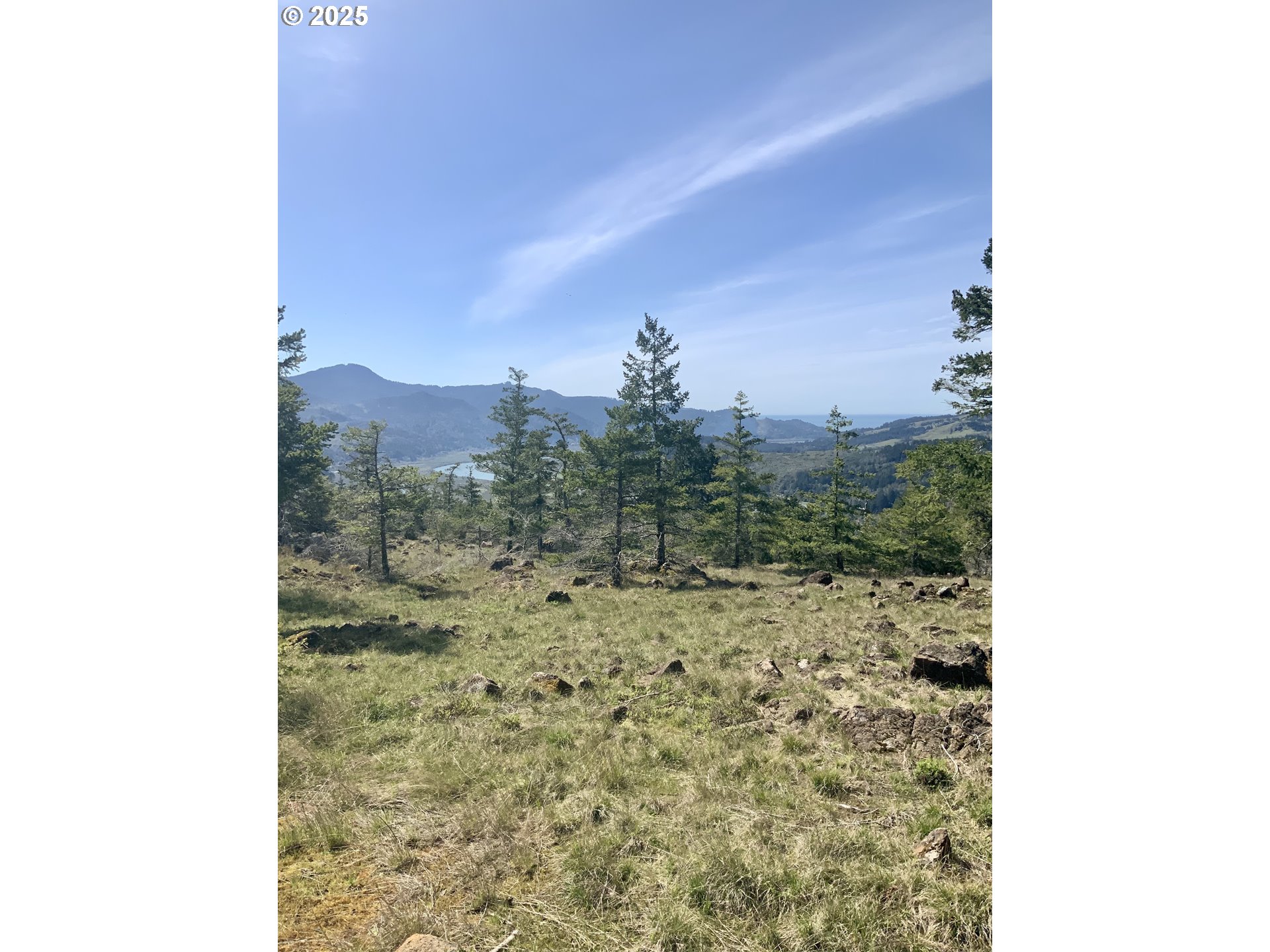 95645 Spirit Ridge Drive Gold Beach, OR 97444 - Photo 3 of 27 a view of a yard