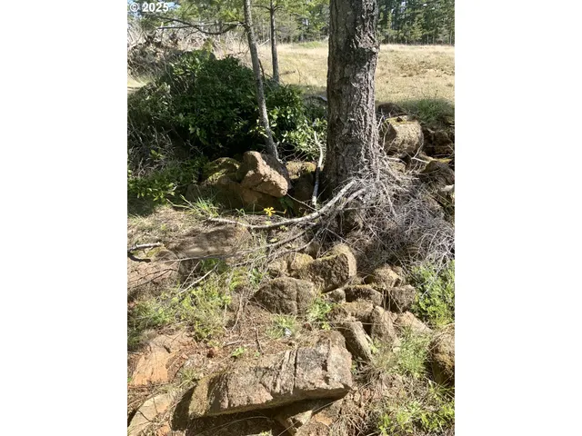 a view of a backyard of a building
