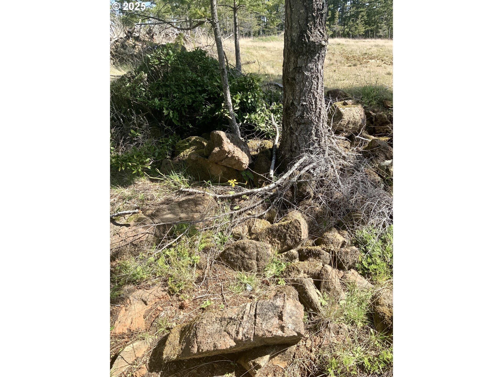 95645 Spirit Ridge Drive Gold Beach, OR 97444 - Photo 4 of 27 a view of a bird bath