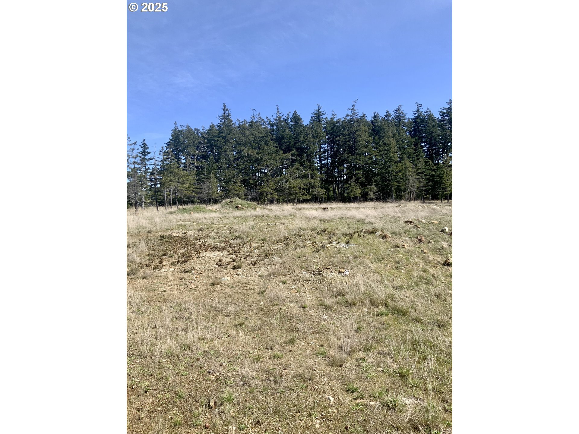 95645 Spirit Ridge Drive Gold Beach, OR 97444 - Photo 5 of 27 a view of a backyard of a building