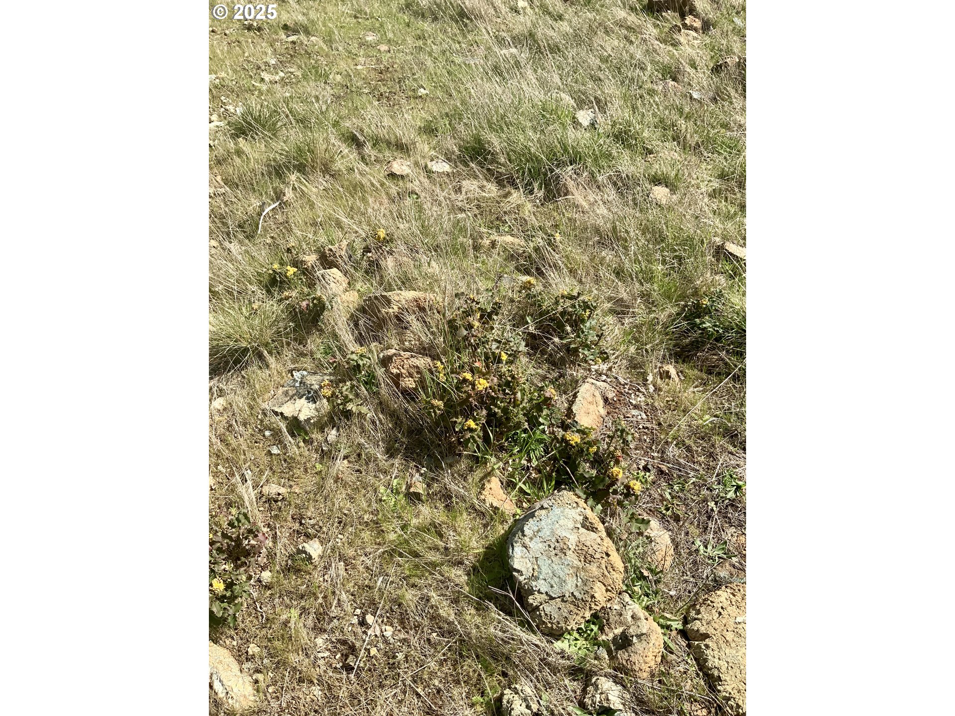 95645 Spirit Ridge Drive Gold Beach, OR 97444 - Photo 6 of 27