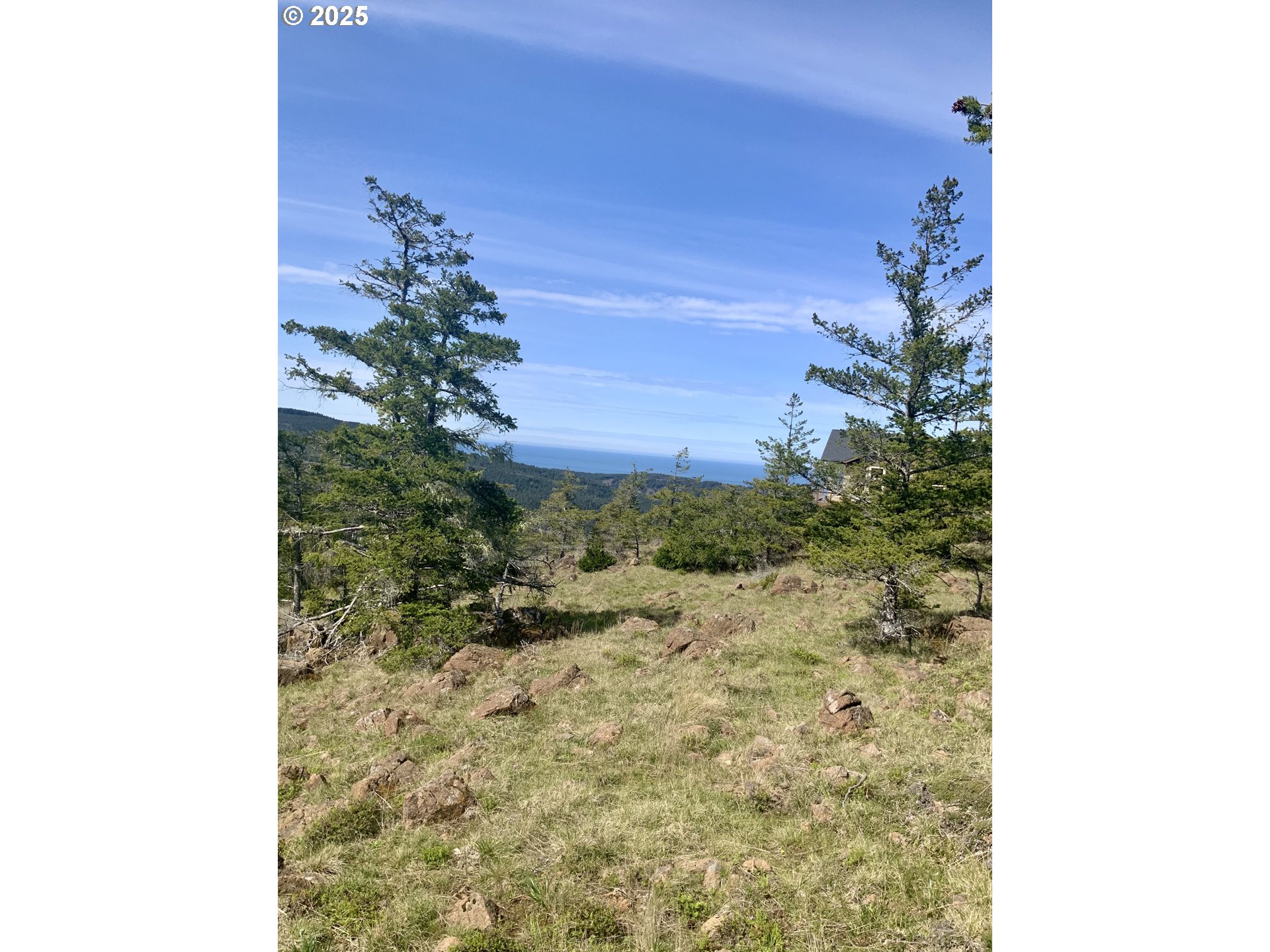 95645 Spirit Ridge Drive Gold Beach, OR 97444 - Photo 7 of 27 a view of a yard