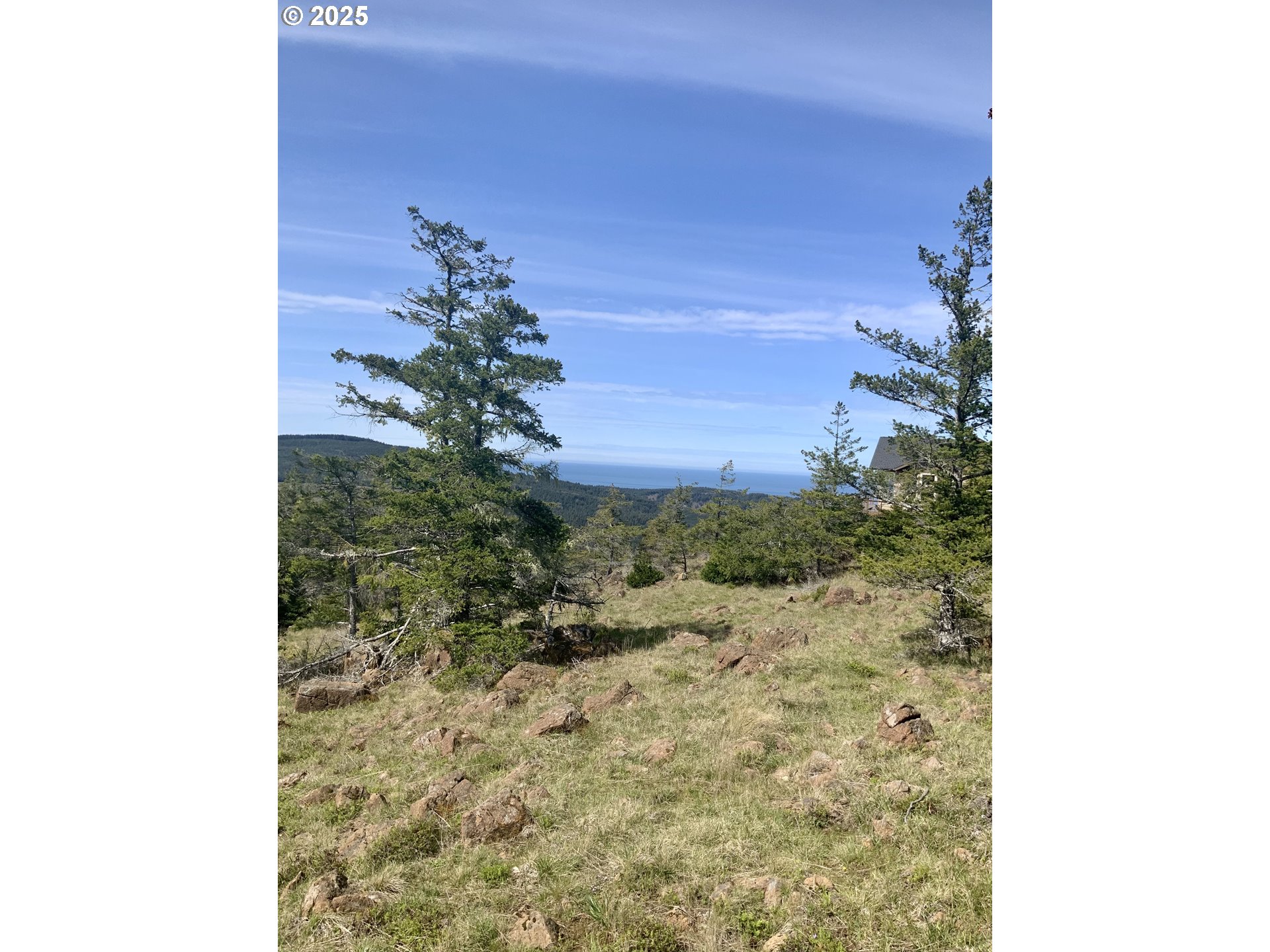 95645 Spirit Ridge Drive Gold Beach, OR 97444 - Photo 8 of 27 a view of a yard