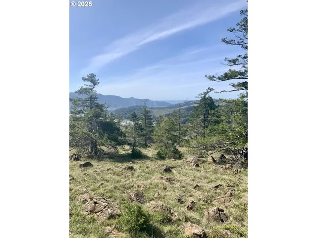 a view of a dry yard with green space