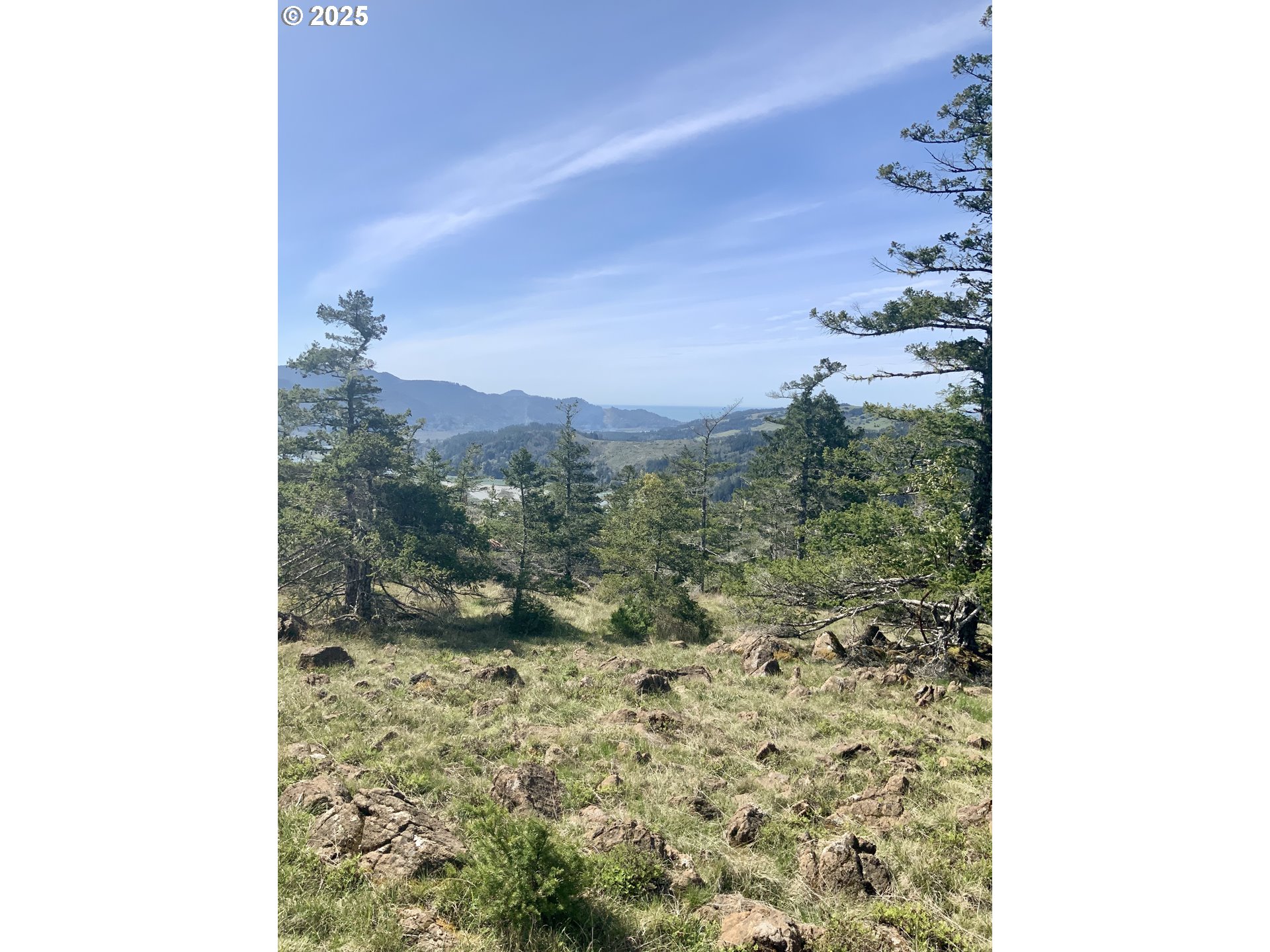 95645 Spirit Ridge Drive Gold Beach, OR 97444 - Photo 10 of 27 a view of a forest