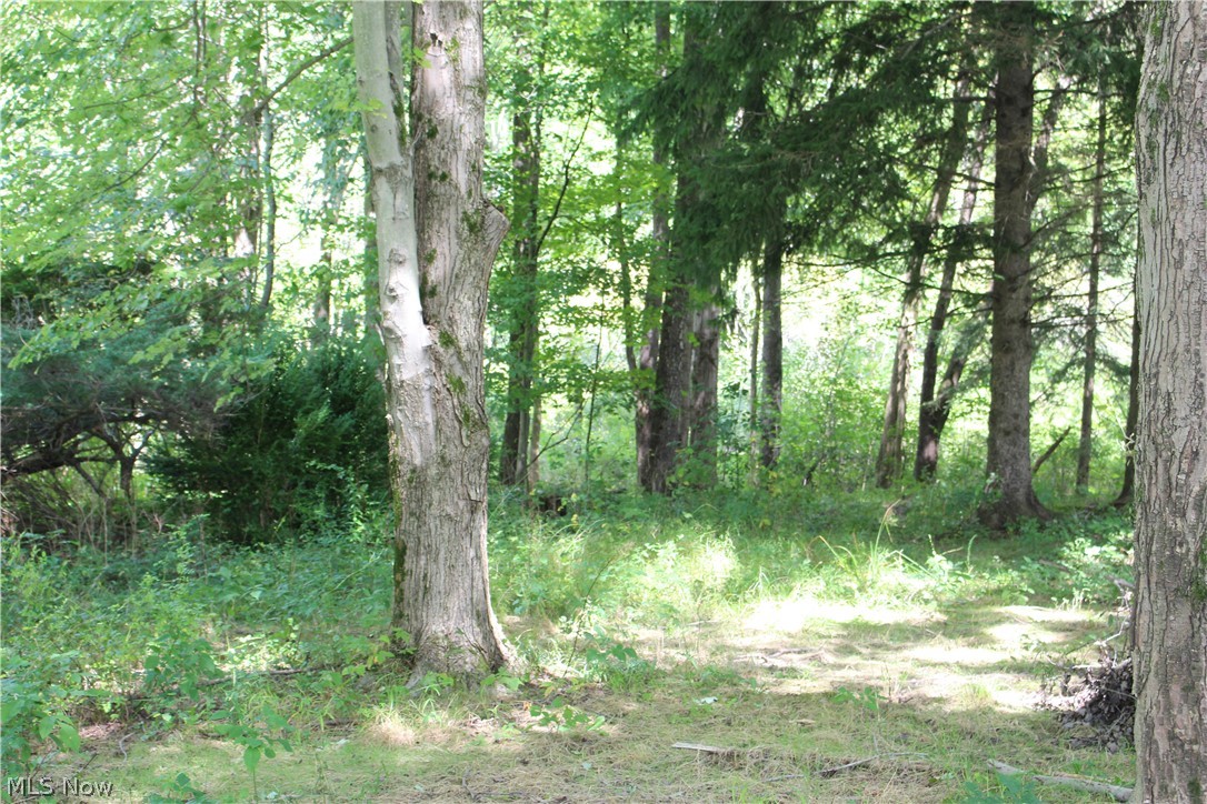 6189 Warren - Sharon Road Brookfield, OH 44403 - Photo 23 of 32 Gallery Image 23