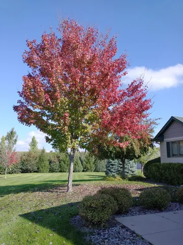 $515,000 | 30835 141st Street Northwest, Princeton, MN 55371