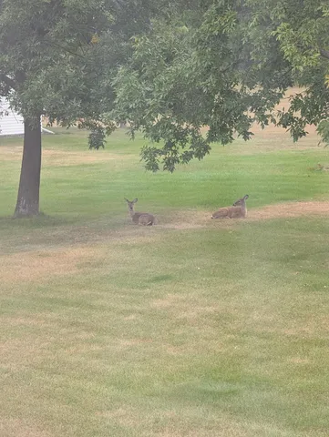 $515,000 | 30835 141st Street Northwest, Princeton, MN 55371