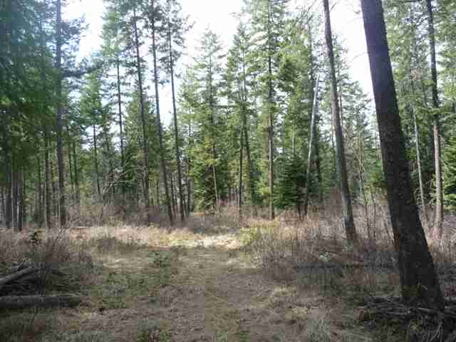 19225 North Day Mt Spokane Road Mead, WA 99021 - Photo 4 of 7
