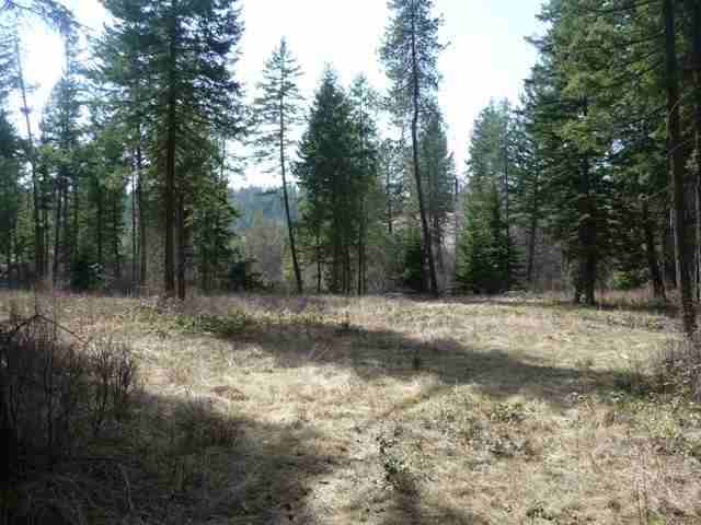 19225 North Day Mt Spokane Road Mead, WA 99021 - Photo 5 of 7