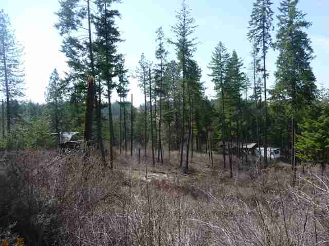 19225 North Day Mt Spokane Road Mead, WA 99021 - Photo 7 of 7