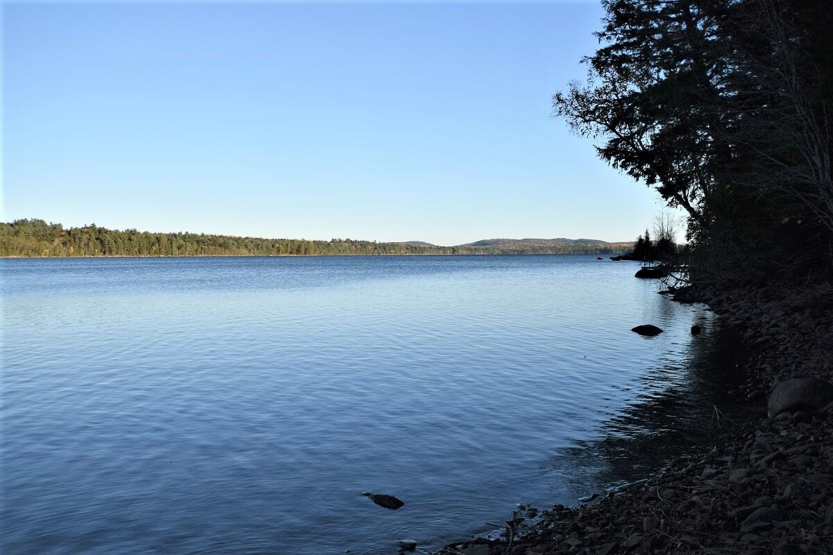 Lot 12 Deer Run Road Lakeville, ME 04487 - Photo 14 of 15 Affordable taxes in Lakeville...