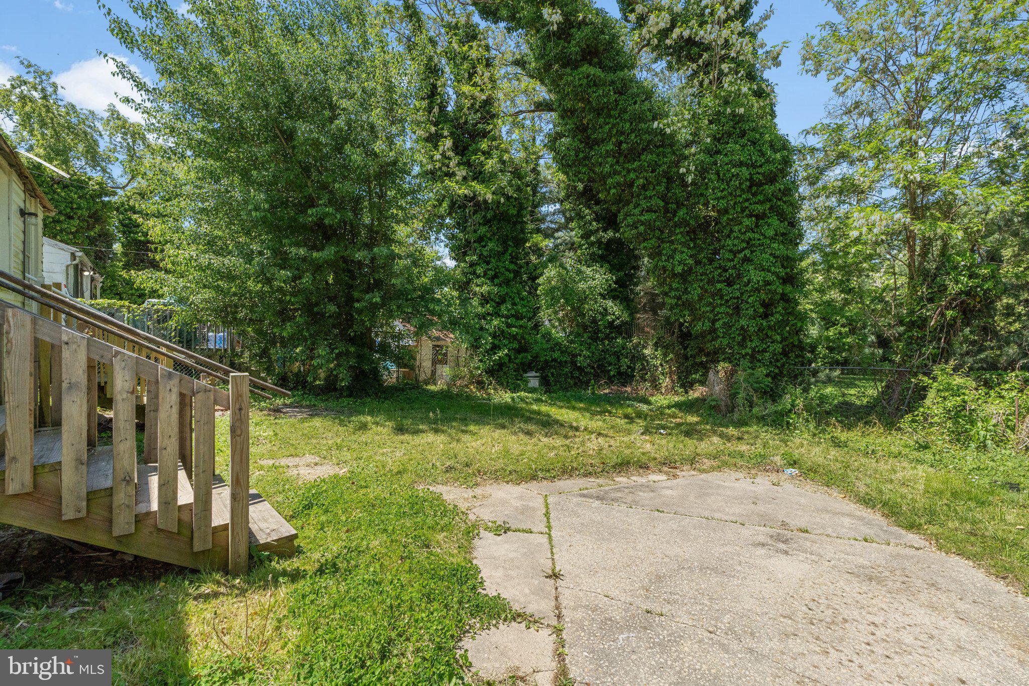 97 Chestnut Street Salem, NJ 08079 - Photo 30 of 38 a view of backyard with green space