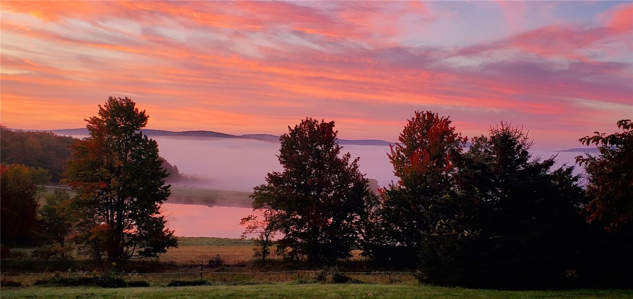 1129 Vandervort Hill Road Sidney, NY 13849 - Photo 9 of 44 Natures Wonders in Full View