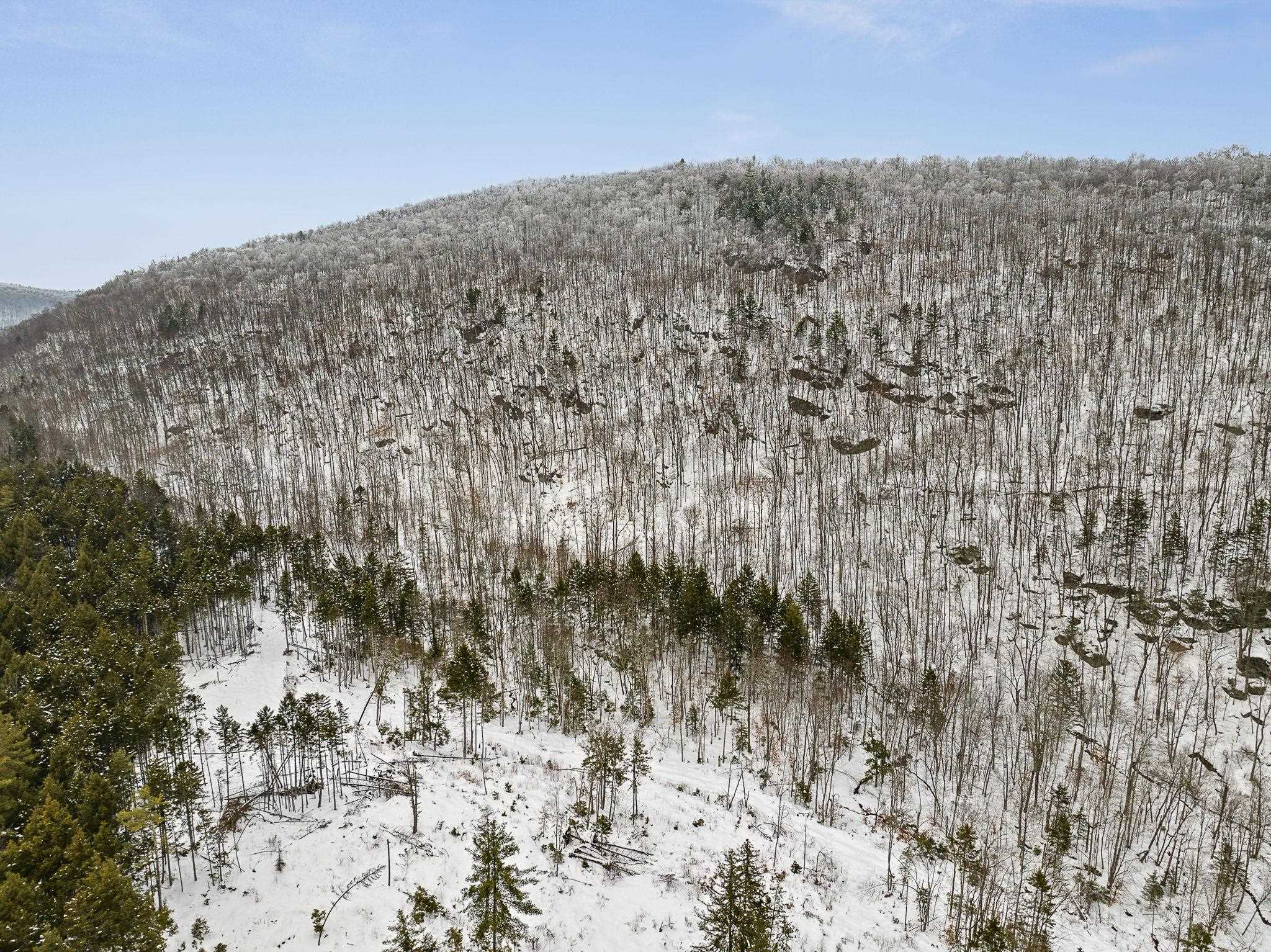 527 Highway 12A Roxbury, VT 05669 - Photo 14 of 17