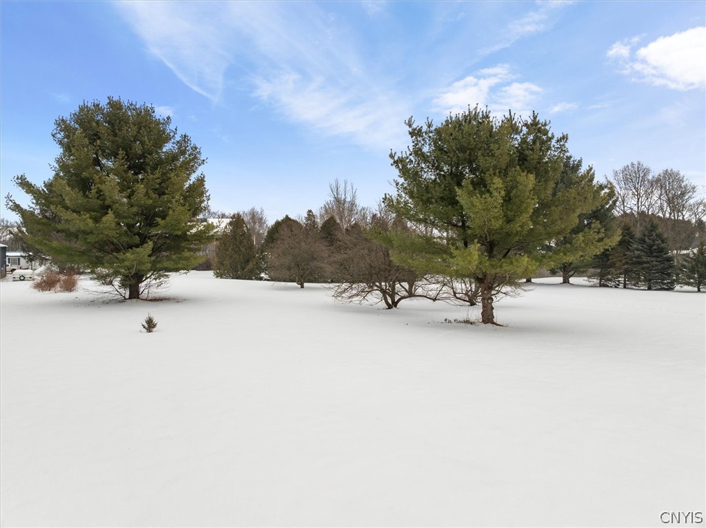 3145 Simmons Road Augusta, NY 13477 - Photo 34 of 38