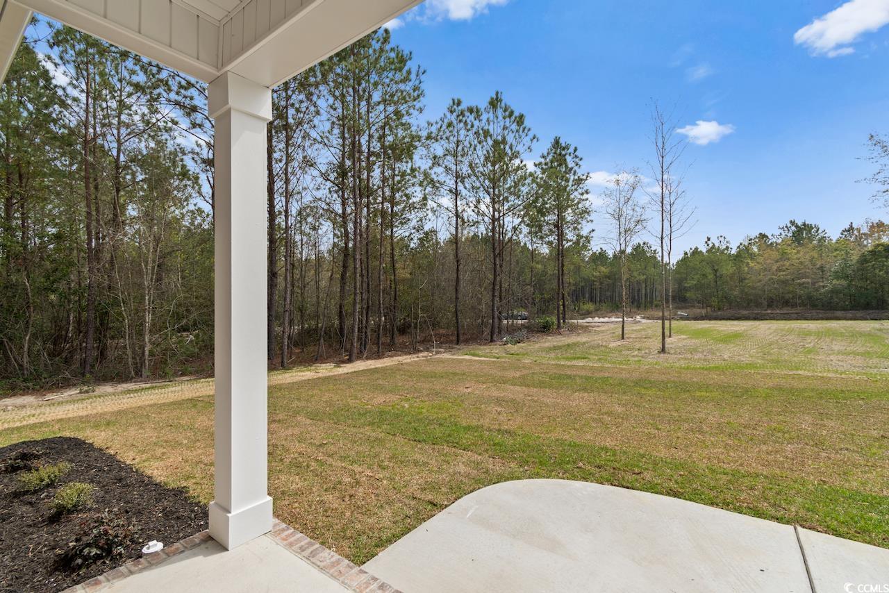 3201 Huckleberry Road Galivants Ferry, SC 29544 - Photo 3 of 4 Gallery Image 3