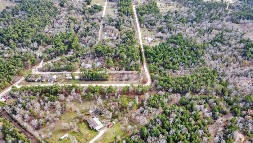 0 Rock Creek Drive Trinity, TX 75862 - Photo 6 of 10