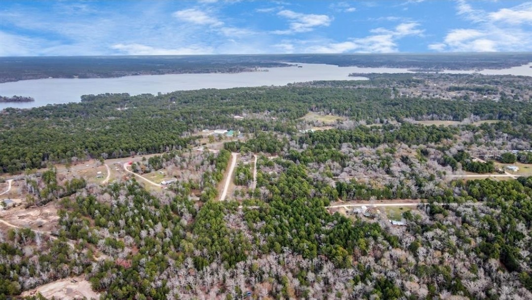 0 Rock Creek Drive Trinity, TX 75862 - Photo 9 of 10