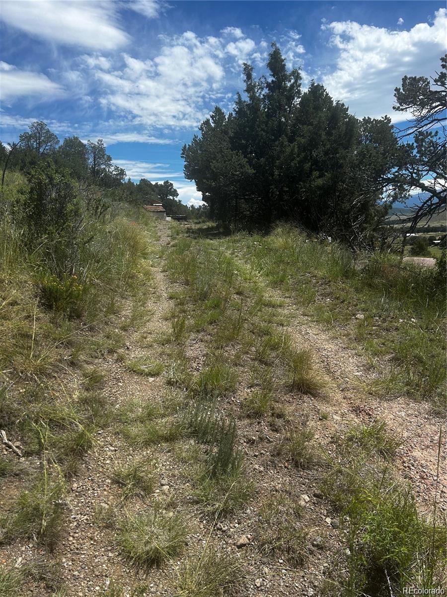 1880 Copper Gulch Road Cotopaxi, CO 81223 - Photo 5 of 7
