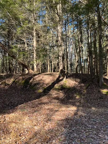 a view of outdoor space with trees