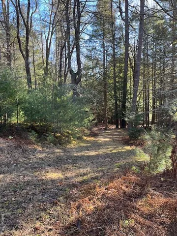 a view of outdoor space with trees