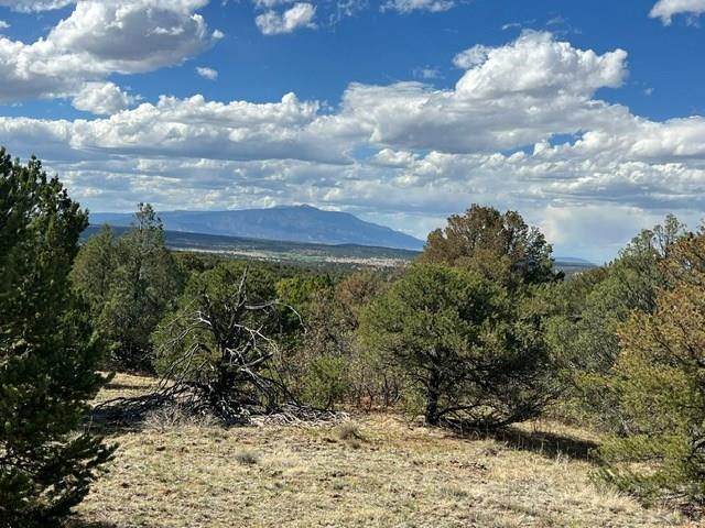 96 River Ridge Trail Walsenburg, CO 81089 - Photo 3 of 28