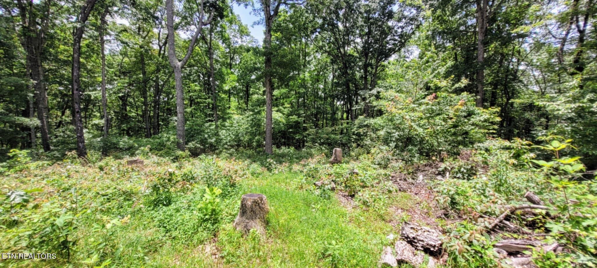 1588 Big Ridge Road Spring City, TN 37381 - Photo 8 of 31 Messenger_creation_535502AB-2105-4FD0-BB