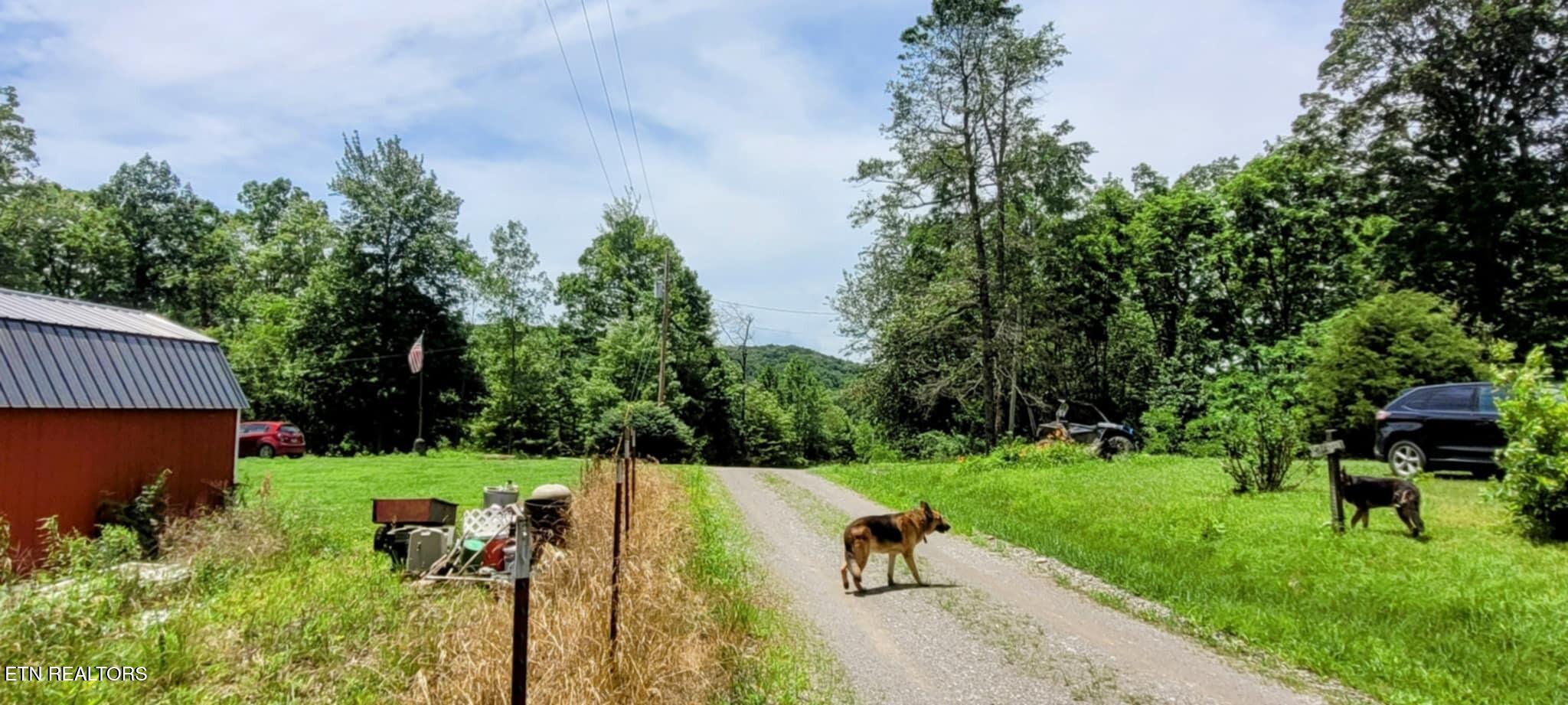 1588 Big Ridge Road Spring City, TN 37381 - Photo 10 of 31 Messenger_creation_27EB0B2D-6195-44C6-94