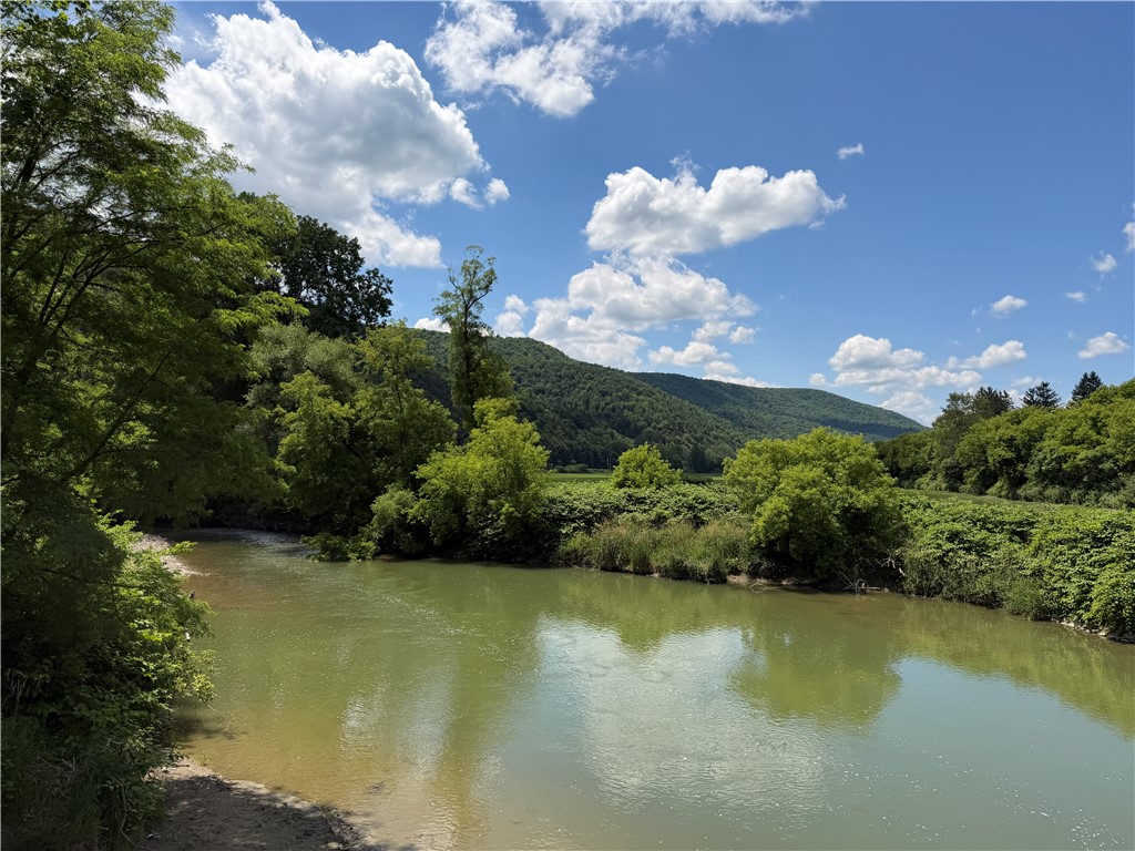 Vl Catatunk Road, Unit R Canisteo, NY 14823 - Photo 49 of 50