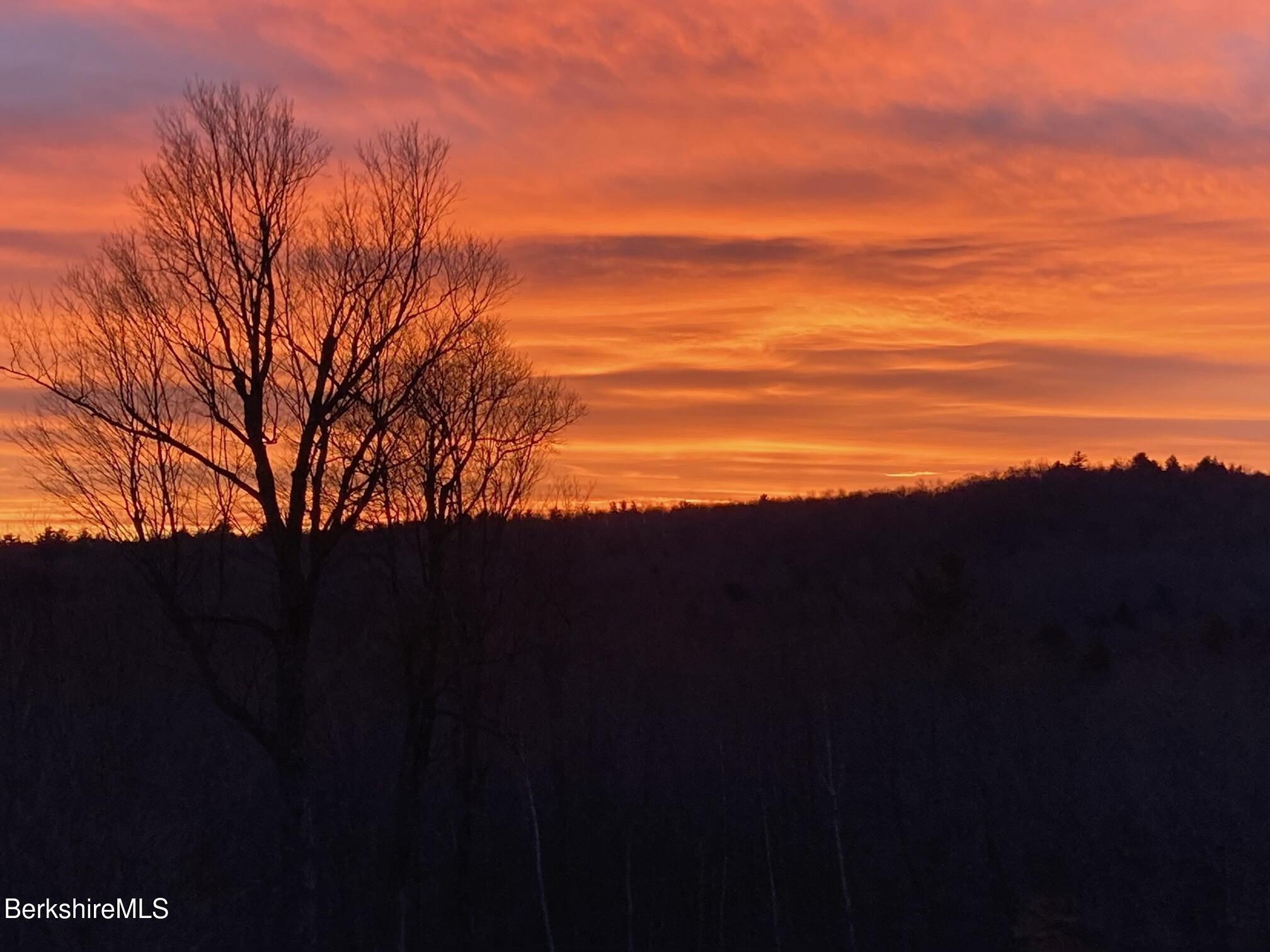 109 Stebbins Road Otis, MA 01253 - Photo 6 of 69 Sunset Stebbins Back Yard