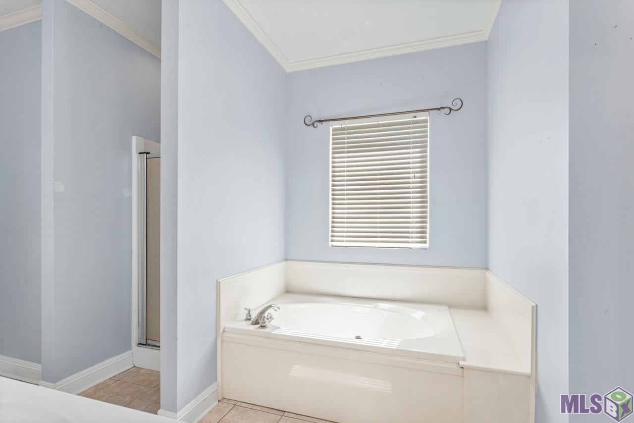 13511 Arnold Road Walker, LA 70785 - Photo 9 of 14 Master Bath