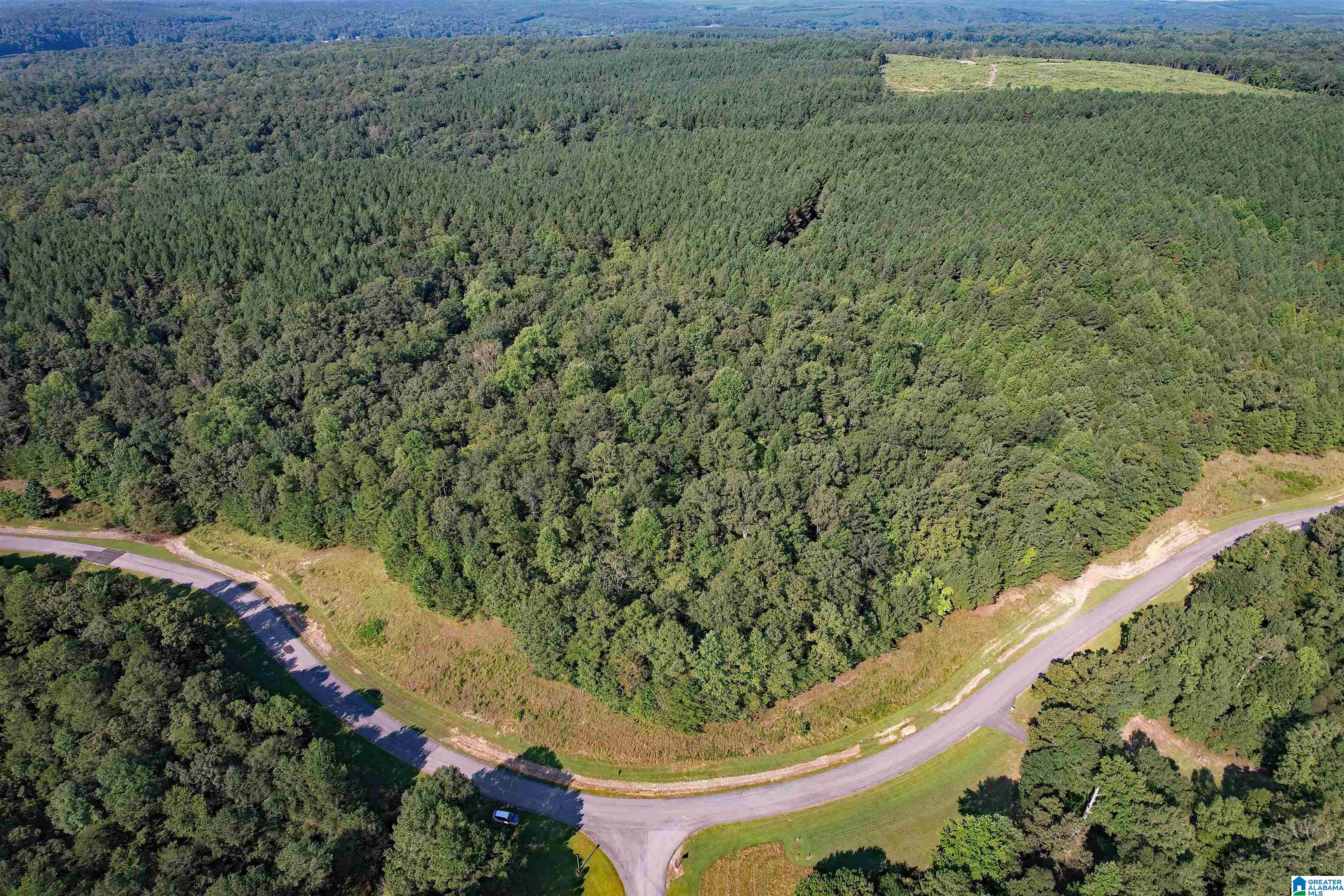 221 Stoney Point Road South, Unit 221/122 Double Springs, AL 35553 - Photo 17 of 25